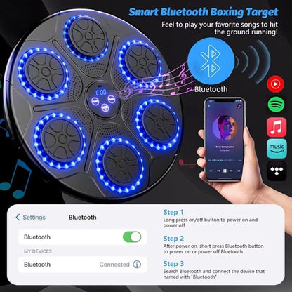 HitWave Pro Music Boxing Pad